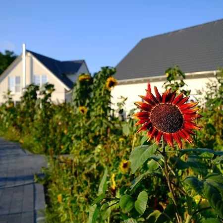 Ferienhaus Seenixe Mit Kamin Und Wasserblick